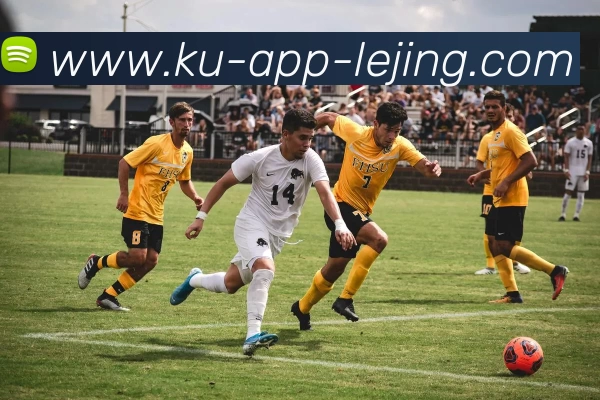 乐竞体育官网平台生态图